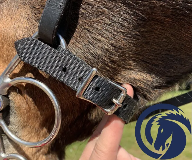 Bombers Back Strap Black One Size